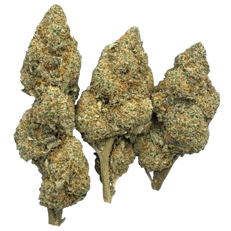 Super Lemond-Haze