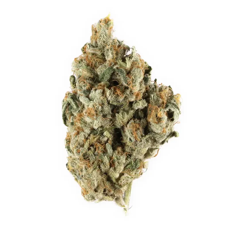 Diesel CBD